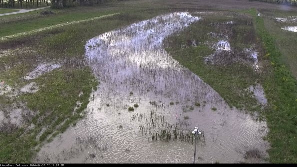 Cell 1_24-04-30_14-12-08-31