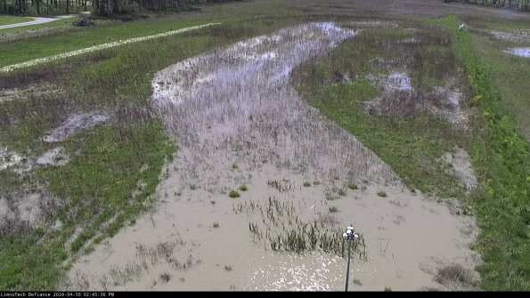 Cell 1_24-04-30_14-45-37-33