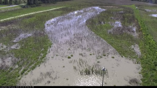 Cell 1_24-04-30_15-52-34-34