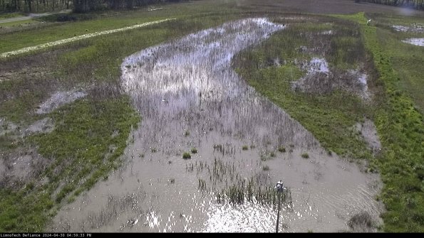 Cell 1_24-04-30_16-59-34-34