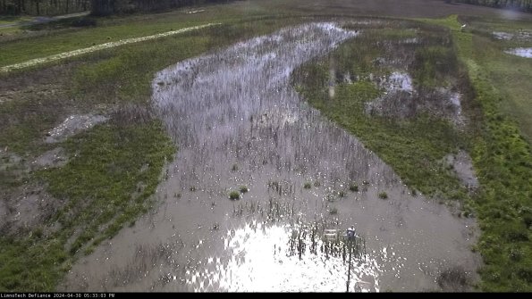 Cell 1_24-04-30_17-33-04-31