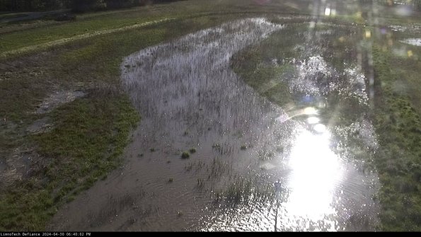 Cell 1_24-04-30_18-40-03-34