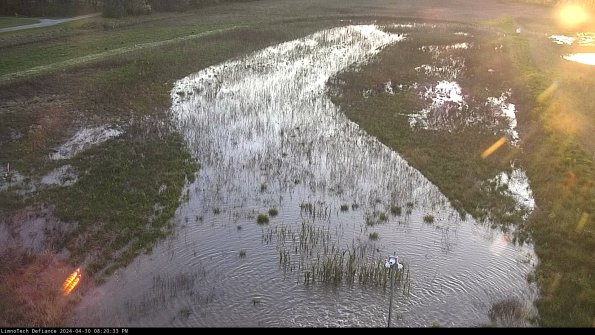 Cell 1_24-04-30_20-20-34-34