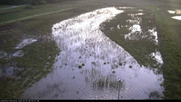 Cell 1_24-04-30_20-54-02-33