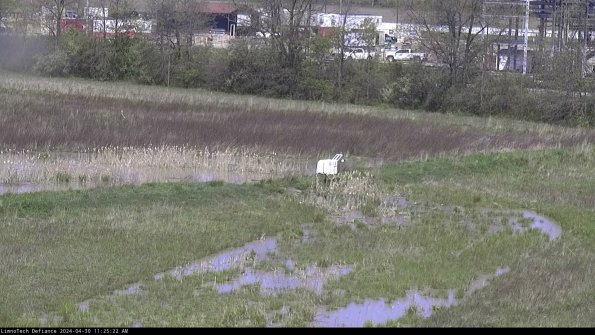 Cell 2 to 3_24-04-30_11-25-22-52