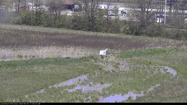 Cell 2 to 3_24-04-30_11-58-52-47