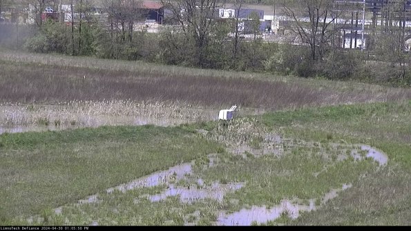 Cell 2 to 3_24-04-30_13-05-51-41