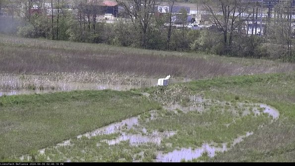 Cell 2 to 3_24-04-30_14-46-17-41