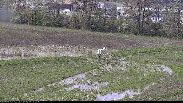 Cell 2 to 3_24-04-30_15-19-45-56