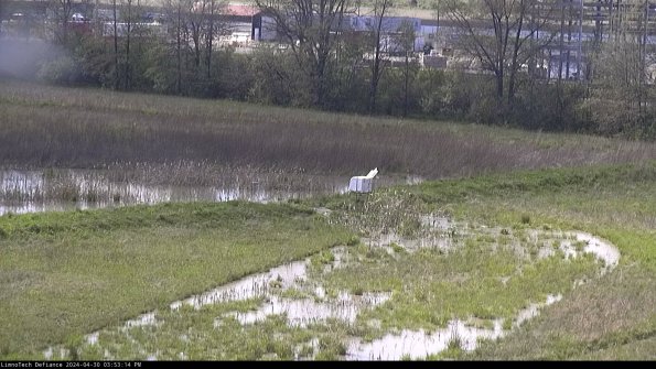 Cell 2 to 3_24-04-30_15-53-14-51