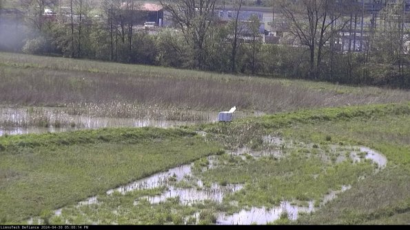 Cell 2 to 3_24-04-30_17-00-14-52