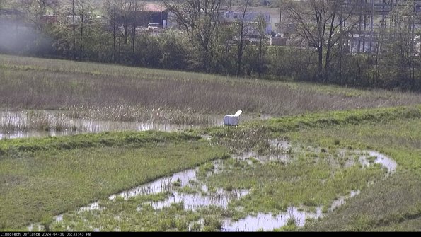 Cell 2 to 3_24-04-30_17-33-44-38