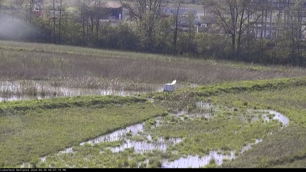 Cell 2 to 3_24-04-30_18-07-14-57