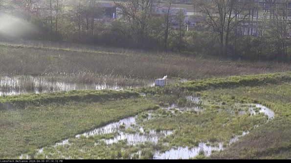 Cell 2 to 3_24-04-30_19-14-13-50