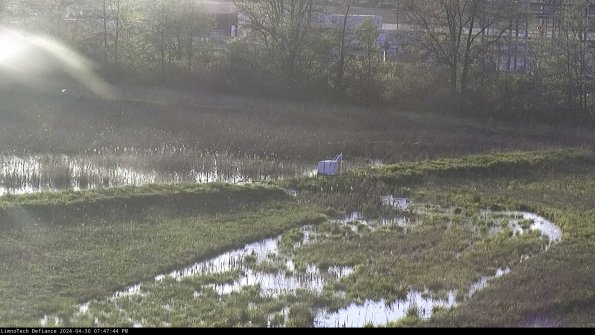 Cell 2 to 3_24-04-30_19-47-44-56