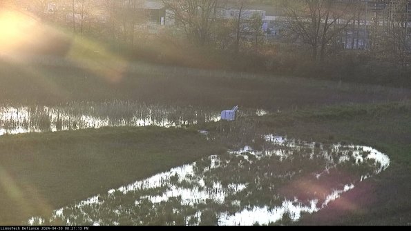 Cell 2 to 3_24-04-30_20-21-14-42