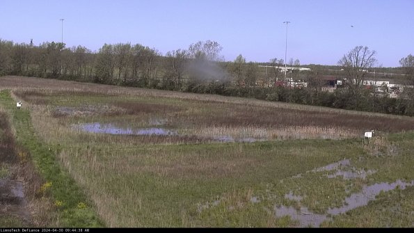 Cell 2_24-04-30_09-44-39-44