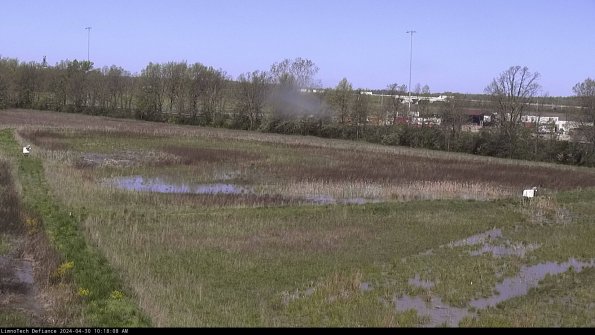 Cell 2_24-04-30_10-18-09-40