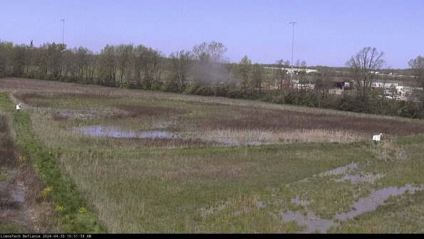 Cell 2_24-04-30_10-51-39-35