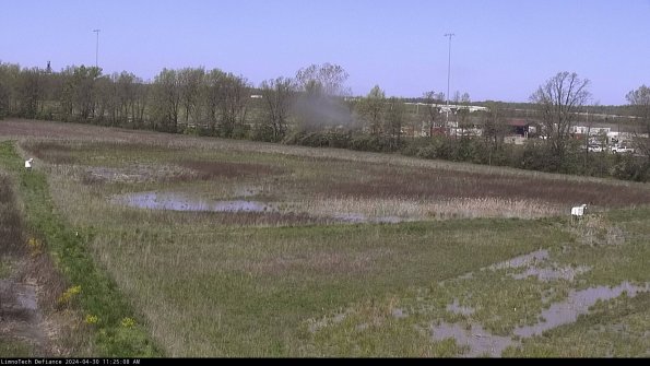 Cell 2_24-04-30_11-25-09-41