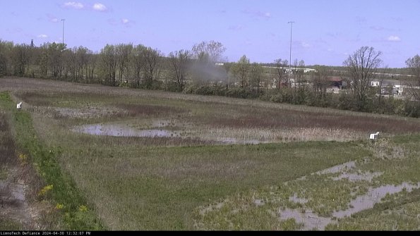 Cell 2_24-04-30_12-32-08-35