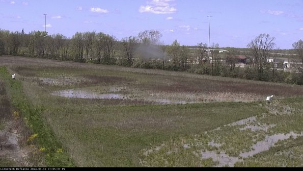 Cell 2_24-04-30_13-05-38-33