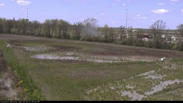 Cell 2_24-04-30_13-39-06-35