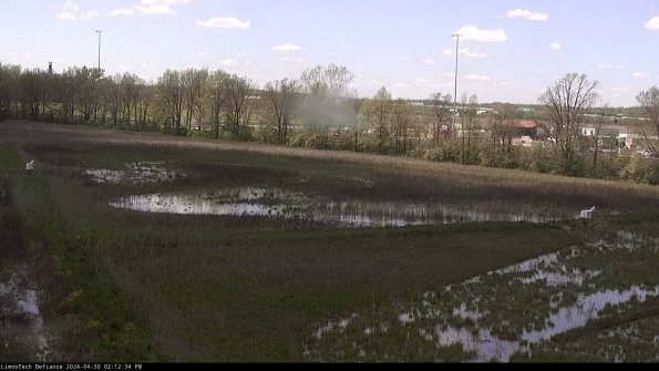 Cell 2_24-04-30_14-12-35-37