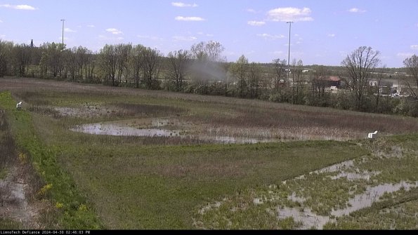 Cell 2_24-04-30_14-46-04-33