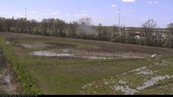 Cell 2_24-04-30_15-19-32-38