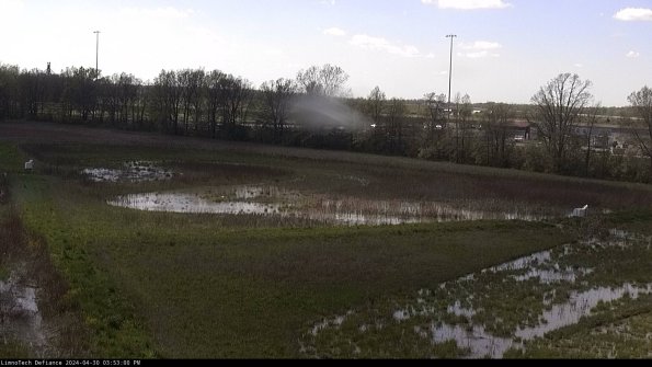 Cell 2_24-04-30_15-53-01-40