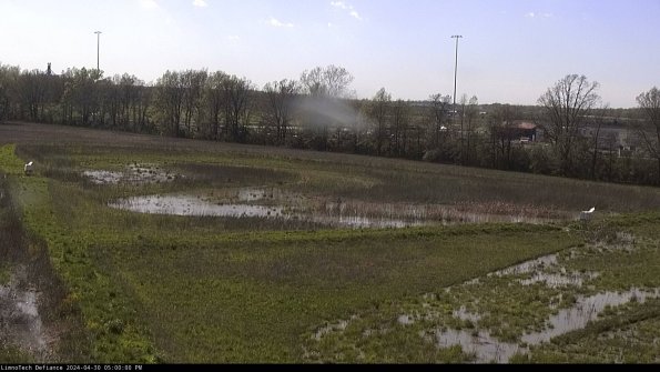 Cell 2_24-04-30_17-00-01-41