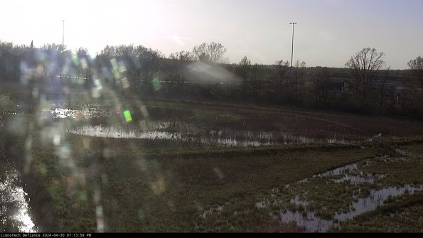 Cell 2_24-04-30_19-14-00-39