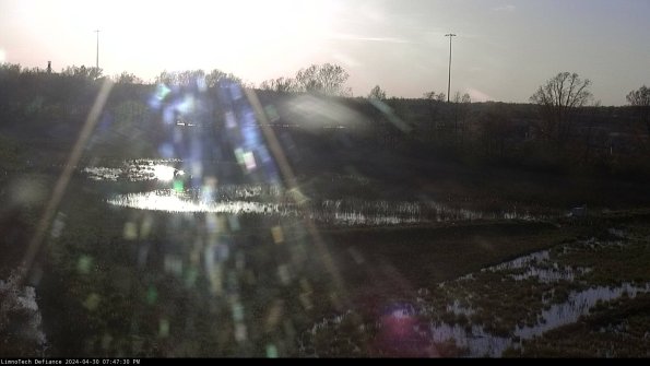 Cell 2_24-04-30_19-47-31-41