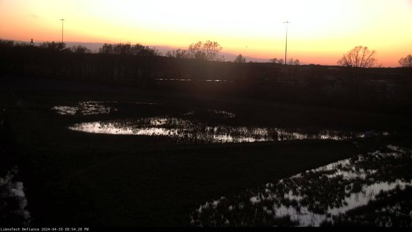 Cell 2_24-04-30_20-54-29-36