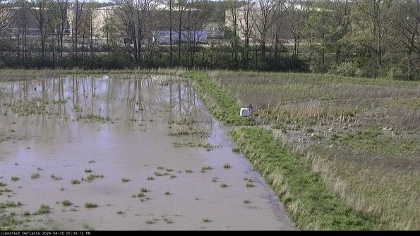 Cell 3 to 4_24-04-30_17-34-13-31