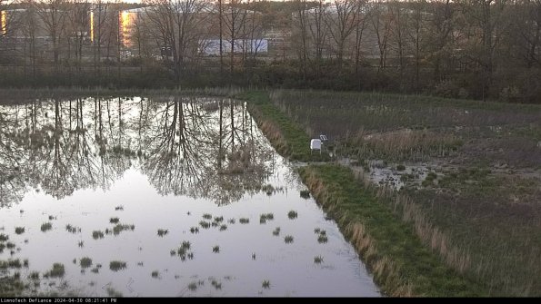 Cell 3 to 4_24-04-30_20-21-42-31