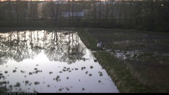 Cell 3 to 4_24-04-30_20-55-11-33