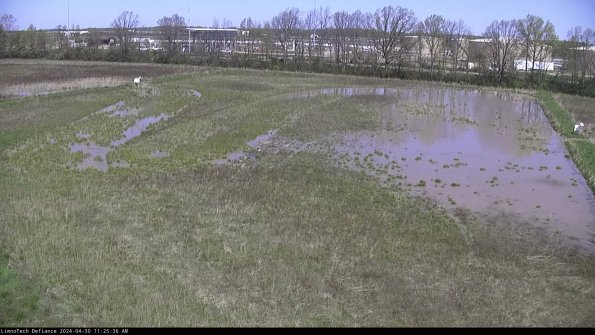 Cell 3_24-04-30_11-25-37-33