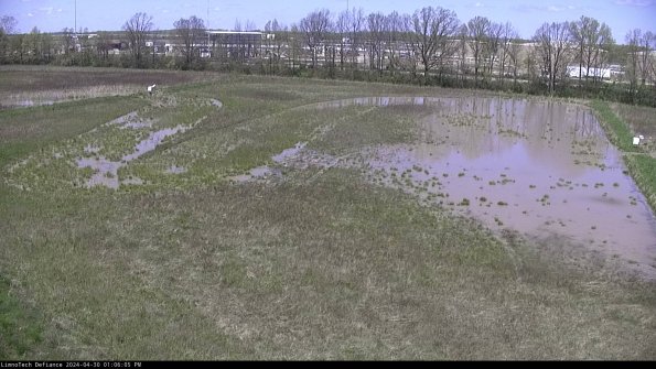 Cell 3_24-04-30_13-06-05-56