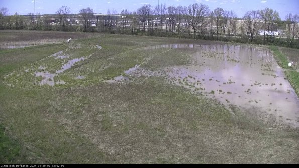 Cell 3_24-04-30_14-13-03-33