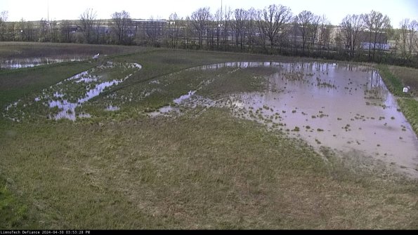 Cell 3_24-04-30_15-53-29-33