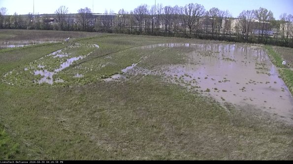 Cell 3_24-04-30_16-26-59-35