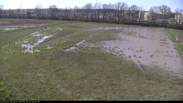 Cell 3_24-04-30_17-00-29-33