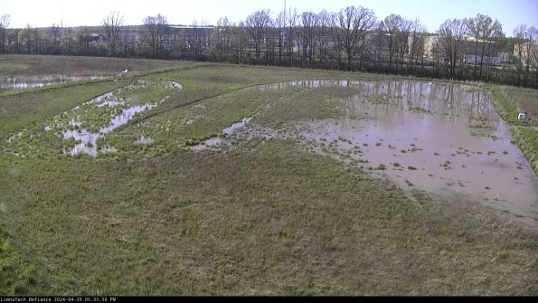 Cell 3_24-04-30_17-33-59-33