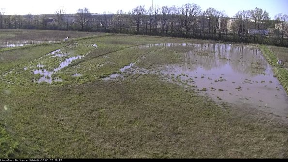 Cell 3_24-04-30_18-07-29-35