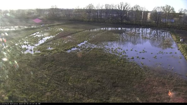 Cell 3_24-04-30_19-47-59-34