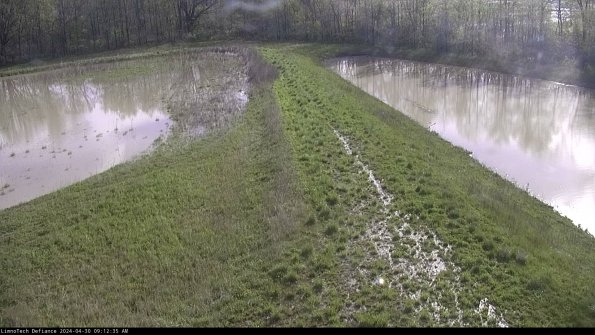 Cell 4 to Basin_24-04-30_09-12-36-34