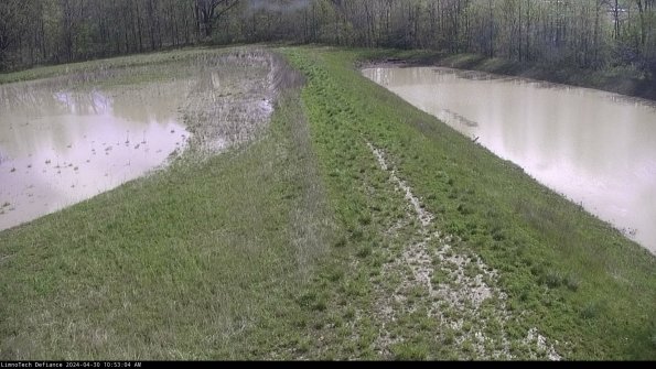 Cell 4 to Basin_24-04-30_10-53-05-34