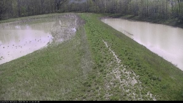 Cell 4 to Basin_24-04-30_11-26-35-36